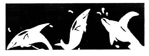 Dolphin Logo