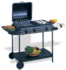 BBQ Grill